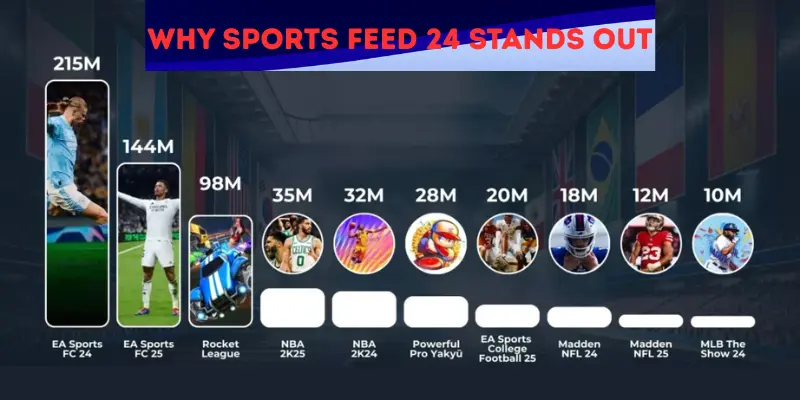 Why Sports Feed 24 Stands Out