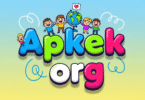Apkek org